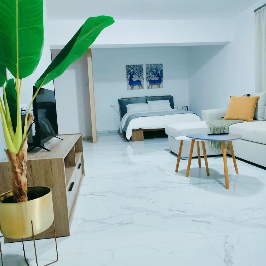 Unique By Perfect-Living Ιωάννινα Appartement Buitenkant foto